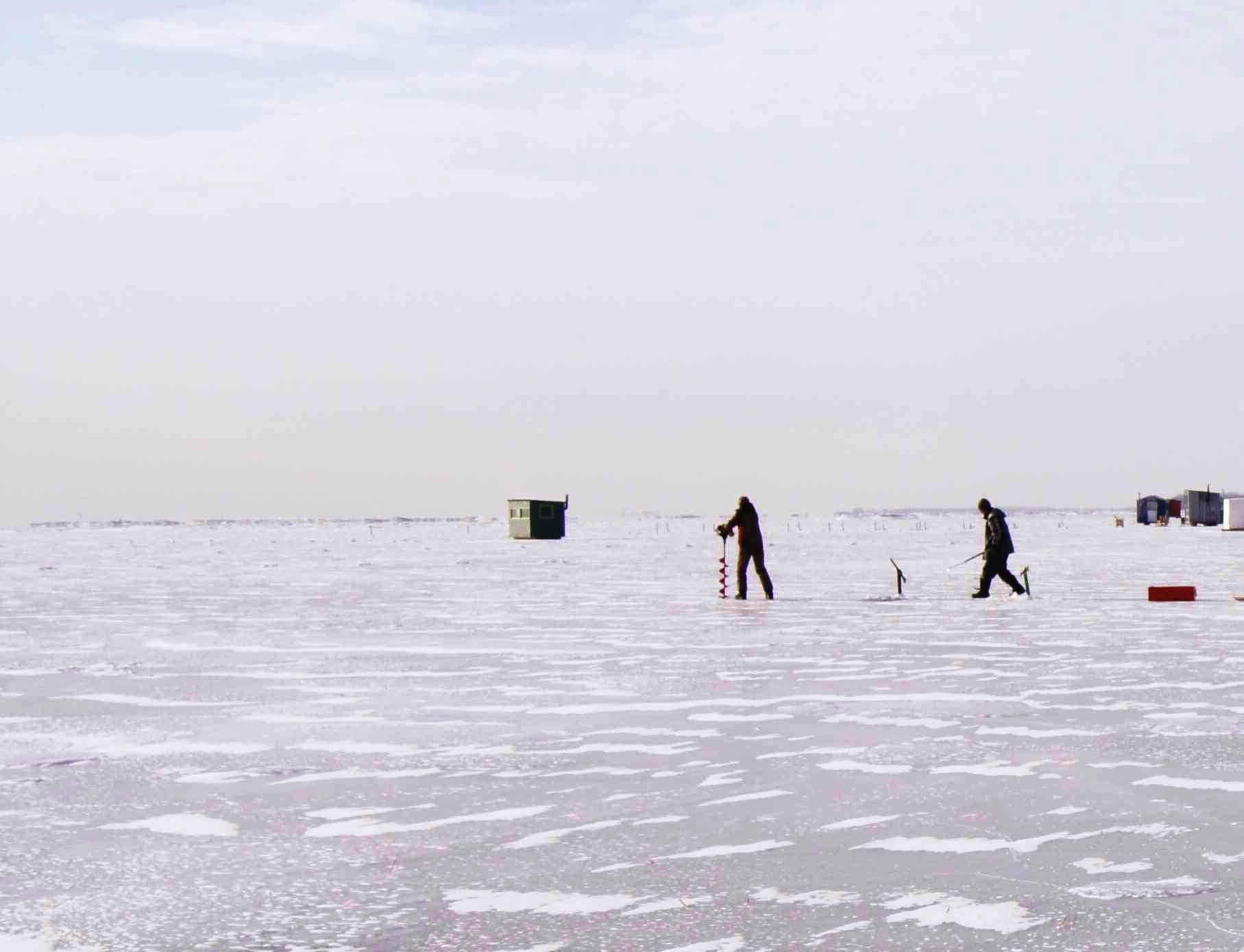 Plus de 1700 perchaudes capturées illégalement.