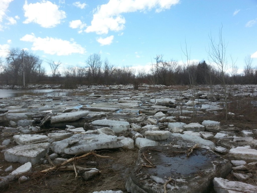 La rivière Gentilly est sortie de son lit, dimanche.
