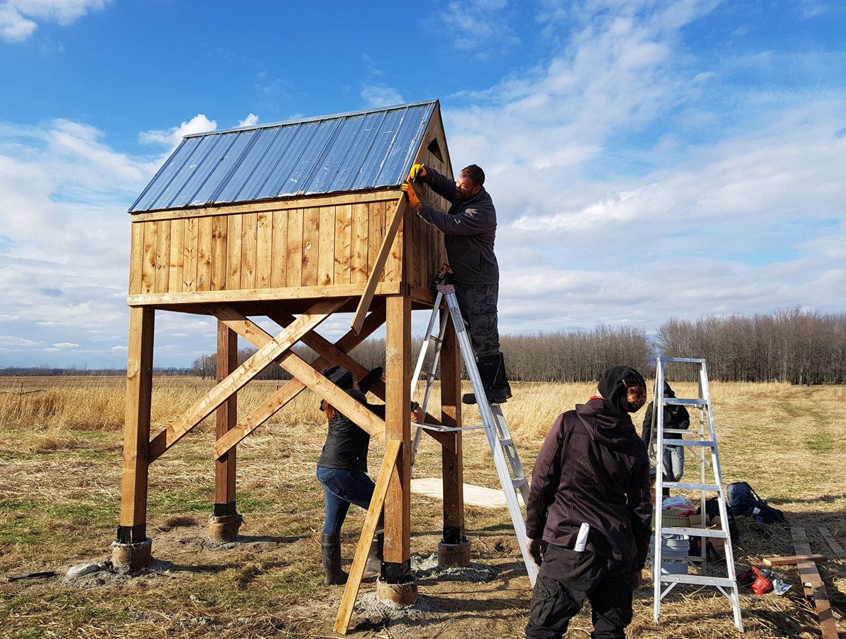 Des bénévoles installent des nichoirs à l'île du Moine.