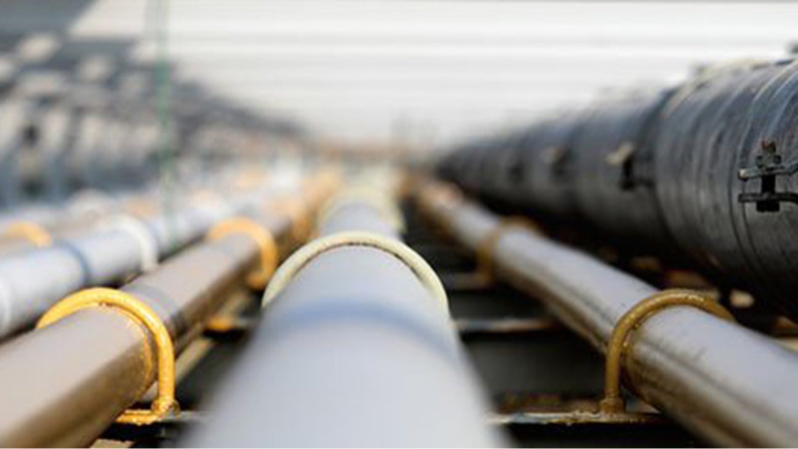 Le NPD somme le gouvernement Trudeau de dire non à l'expansion de Trans Mountain