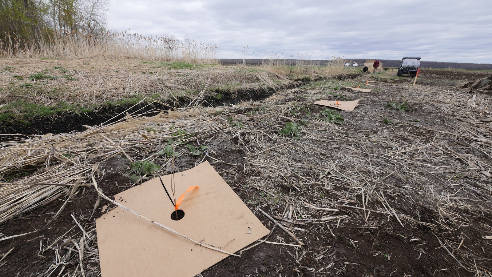 L’OBV Yamaska veut planter 2000 végétaux par année