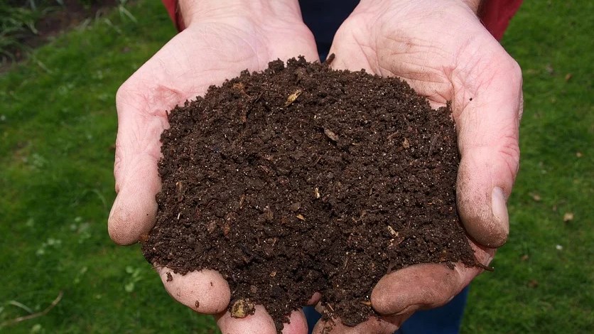 Une deuxième de distribution du compost pour les citoyens sans remorque