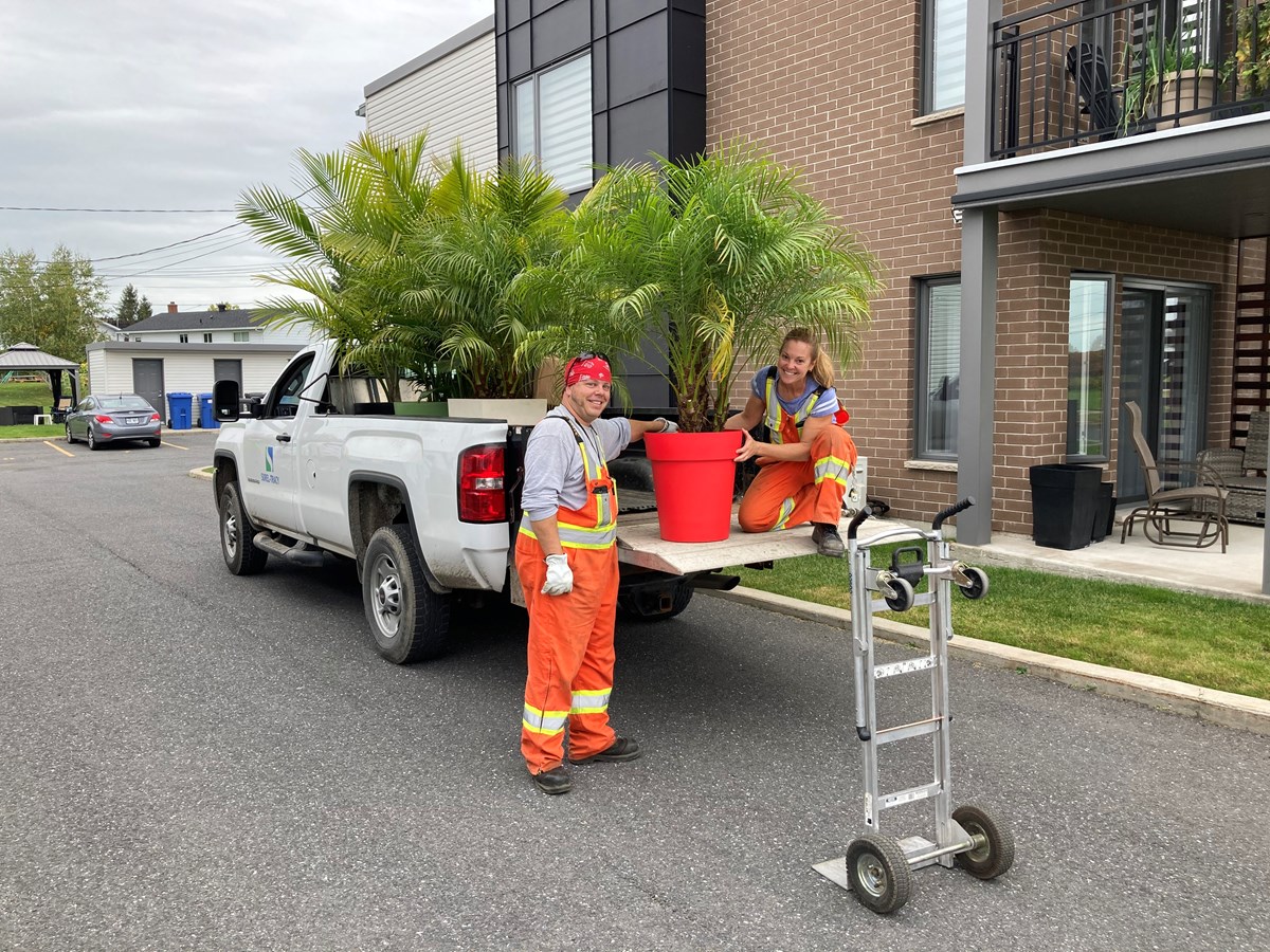 Martin Pelletier et Caroline Morvan, employés du Service des travaux publics de la Ville de Sorel-Tracy, en pleine livraison de plantes tropicales.