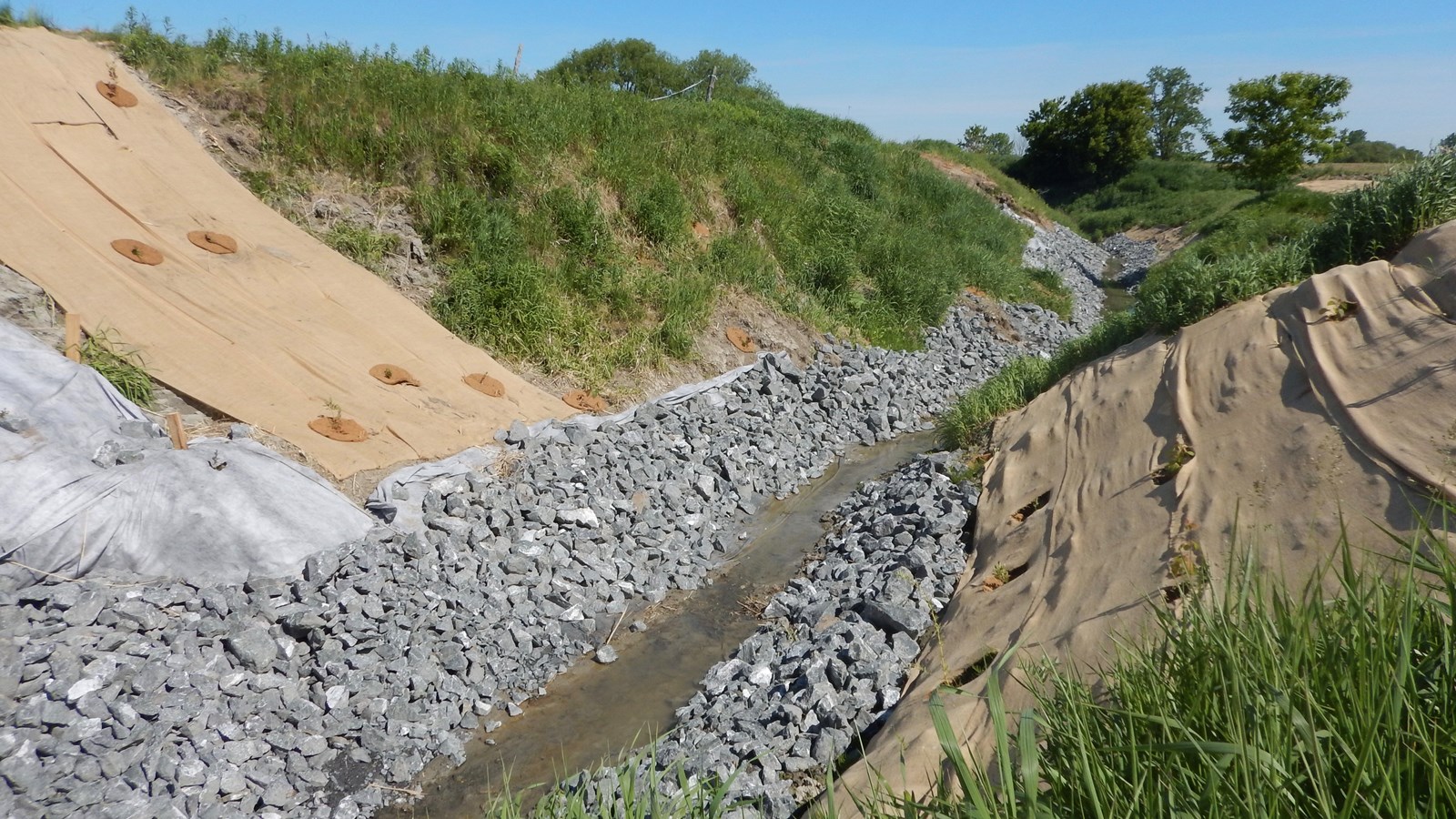 Végétaliser des coulées agricoles pour améliorer les habitats fauniques