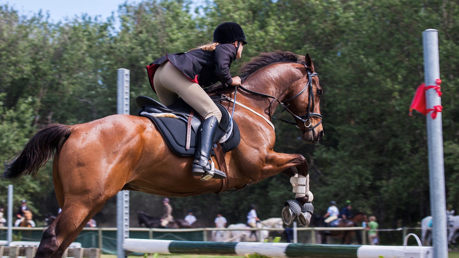 La région de la Rive-Sud de Montréal en route vers la 25e édition de Caballista