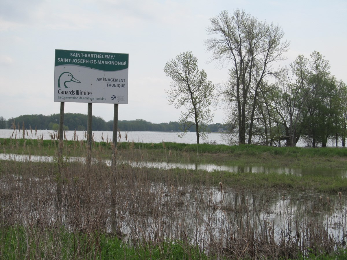 Il est possible de visiter des aménagements fauniques dans les environs du lac Saint-Pierre