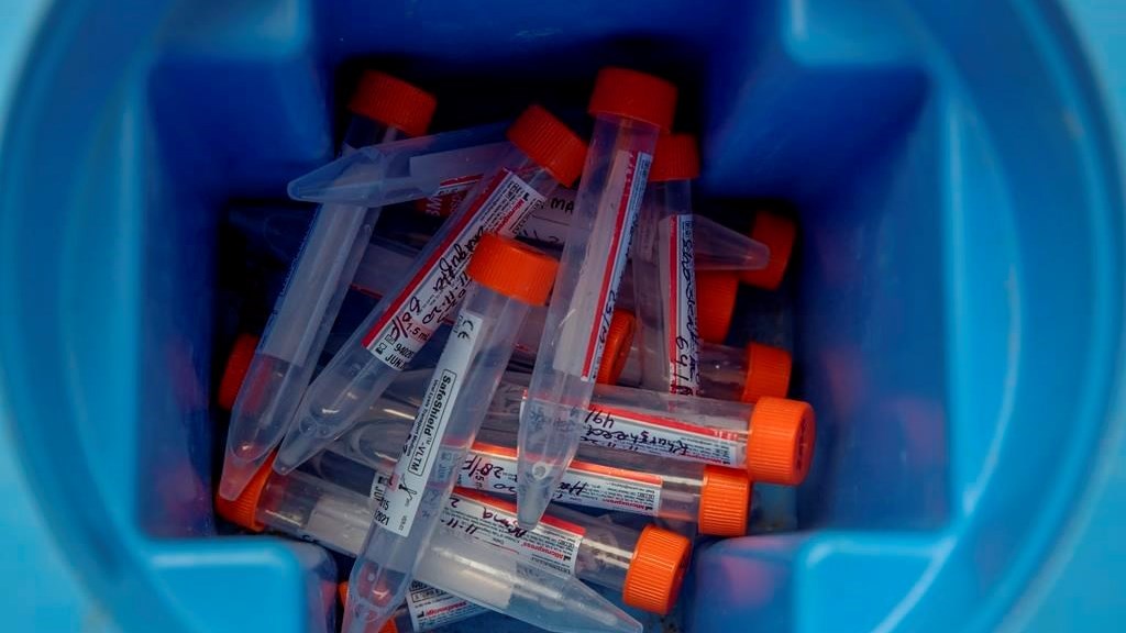 De nouveaux assouplissements pour le dépistage à la frontière