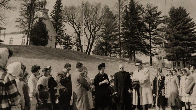La traditionnelle fête québécoise des arbres célèbre ses 140 ans