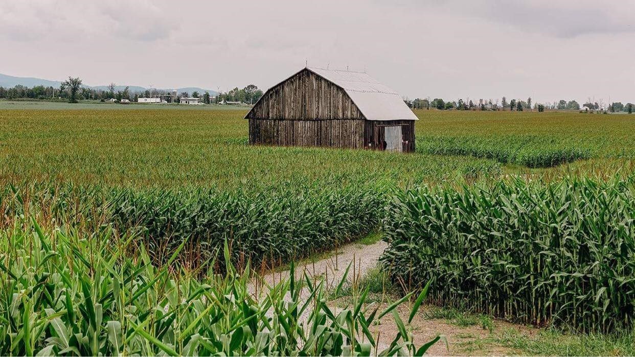 Des consultations pour orienter la stratégie nationale sur la main-d'œuvre agricole