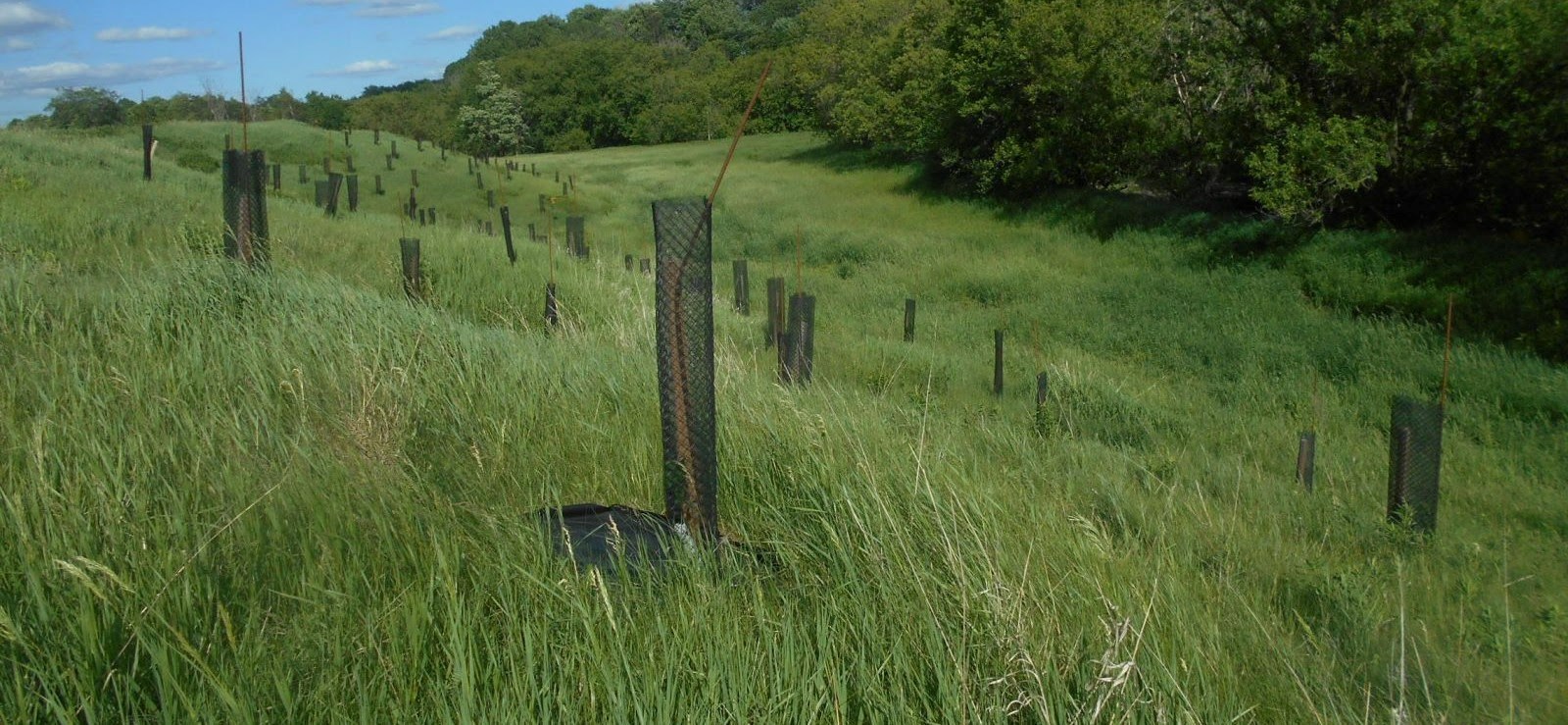 Un projet interrégional de transfert de connaissances sur les coulées agricoles est lancé