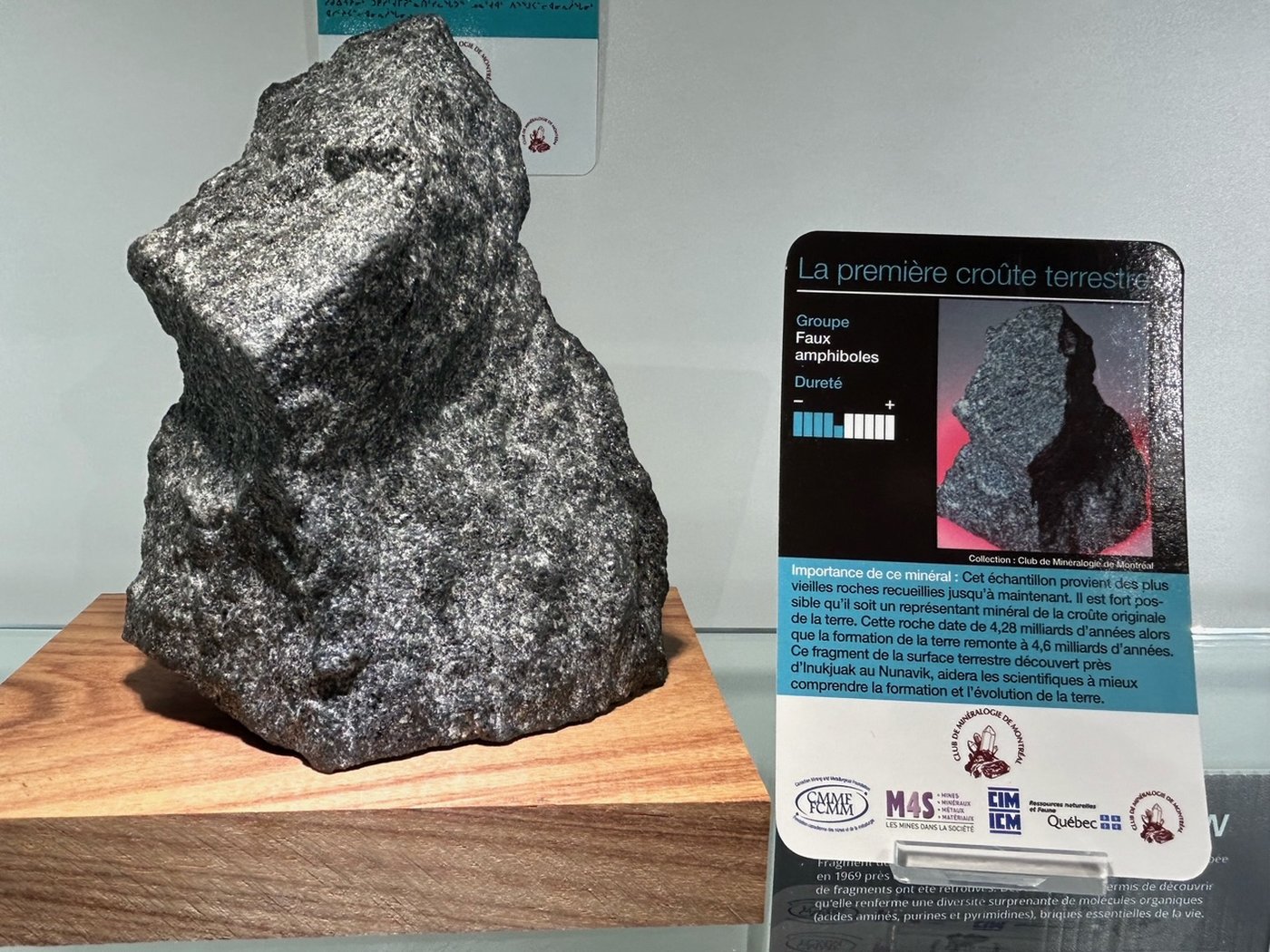 La plus vieille roche retrouvée sur Terre est exposée au parc Safari