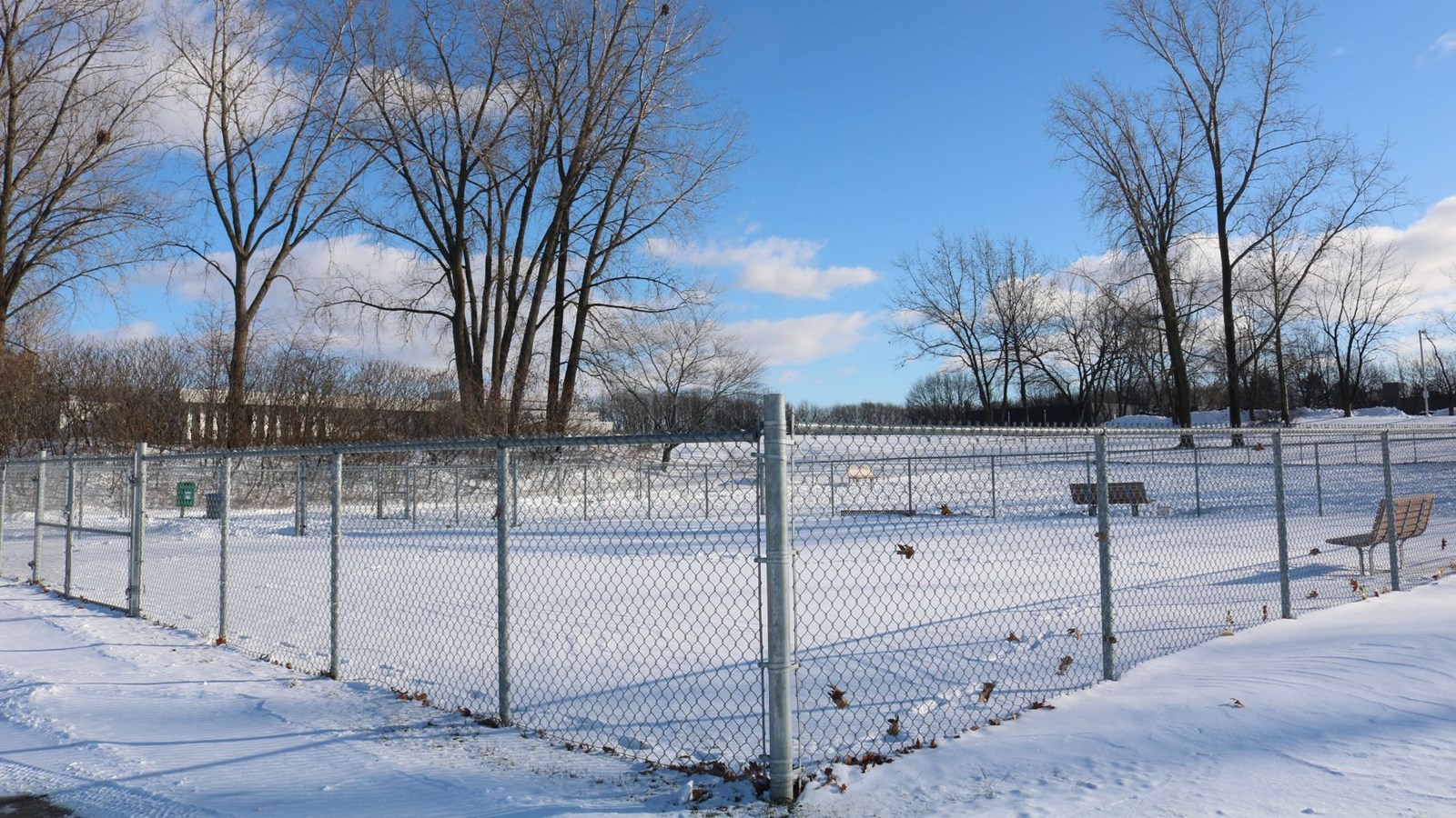 Le parc canin Elzéar-Cournoyer a été fermé pendant 14 jours pour éviter la propagation de la toux du chenil.