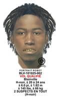 Voici le portrait-robot de l un des deux suspects.