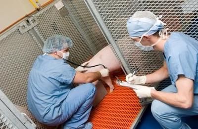 La propreté des lieux est irréprochable. Crédit: AccelLAB