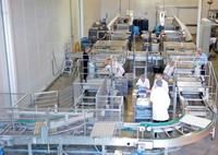 Des employés de la compagnie de production de micro croissants du domaine de la transformation d aliments et des produits alimentaires <I>La Petite Bretonne<I\> s affairent à préparer des mini croissants pour le plaisir des goûteurs. @Signature-photos:Pierre Latour