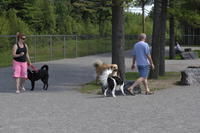 Ste-Thérèse aura son parc à chiens!