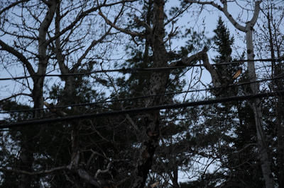 Le périmètre de sécurité a été établi à l'angle de la Montée Gagnon et du boulevard Vignory à Bois-des-Filion.