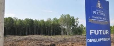 (Photo Simon Dessureault)Voici le lieu où le Groupe Platinum a coupé les arbres.
