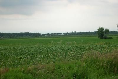 Sainte-Anne-des-Plaines se rapproche du pacte rural