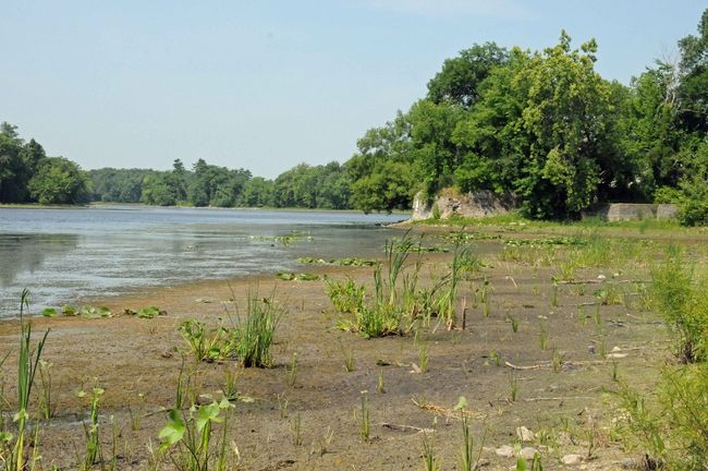 Le débit de la rivière des Mille-Îles a chuté sous la barre des 35 mètres d’eau cube à la seconde, ce qui cause l’assèchement des berges. En juillet, la normale se situe autour de 130 mètres d’eau cube à la seconde.