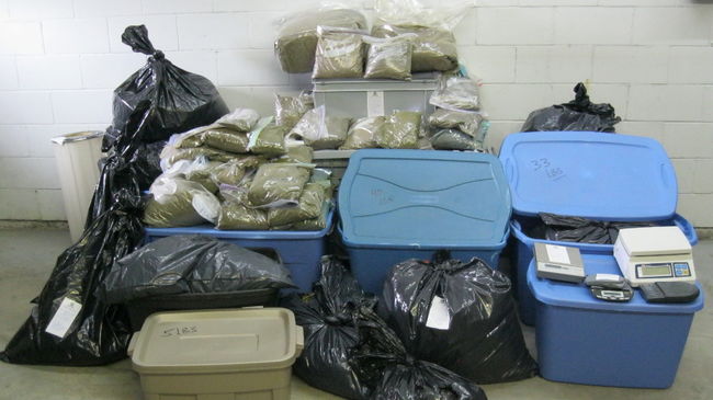 La saisie effectuée à Boisbriand comprenait des quantités importantes de cannabis et de Haschich.
