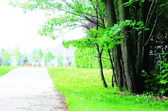 C'est dans cette allée piétonnière du quartier familial d'Alençon à Blainville que Mark Lafleur aurait été surpris en plein ébat sexuel par deux enfants.