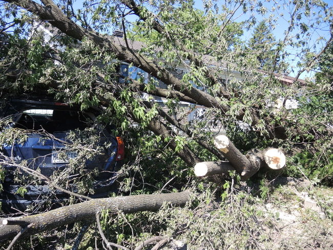 Ce citoyen de la rue Mainville à Sainte-Thérèse n’a pas joué de chance. Le vent a sectionné un arbre qui s’est affaissé sur son véhicule.