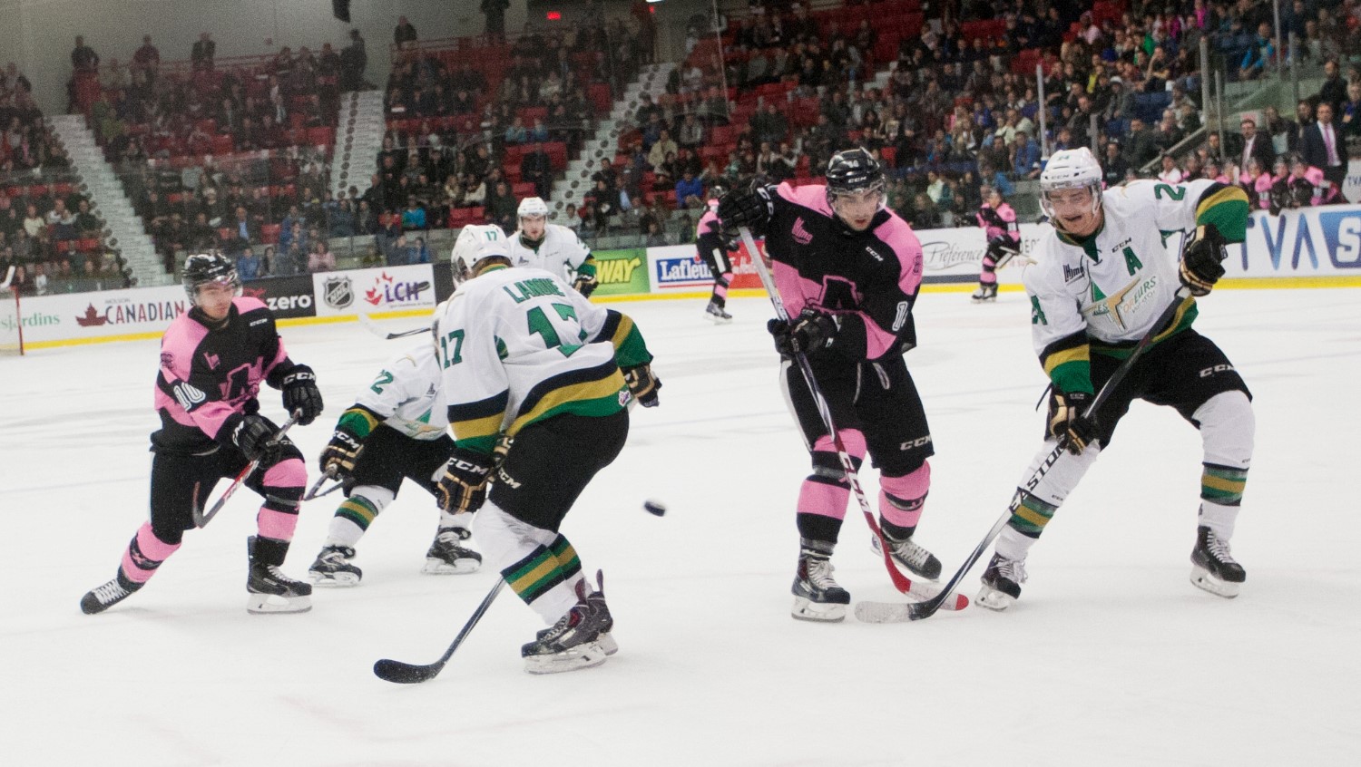 L'Armada voit la vie en rose contre les Foreurs
