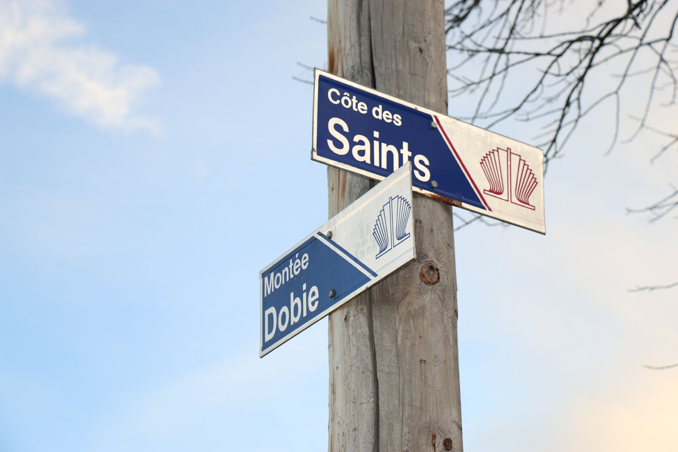 Sortie de route sur la Montée Dobie