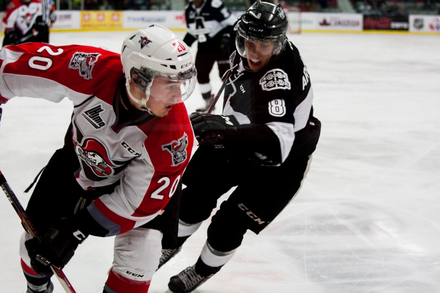 L'Armada trébuche contre les Voltigeurs