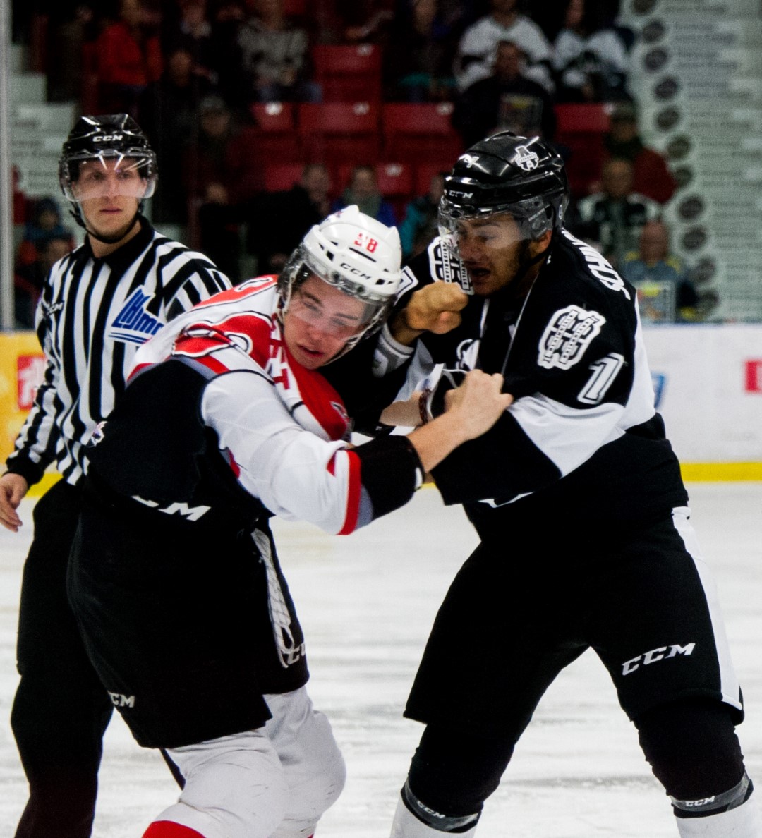 L'Armada trébuche contre les Voltigeurs