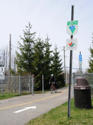 Les cyclistes rencontrés par le Journal craignent la route et ont opté pour rouler sur les pistes cyclables. 