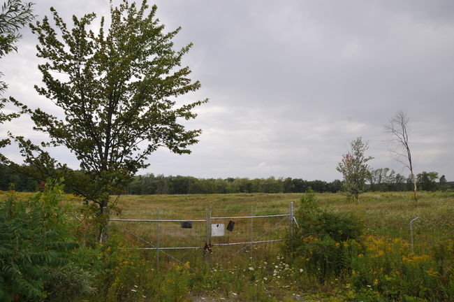 Le terrain de la rue Dubois à Boisbriand a été déboisé en 2007. 