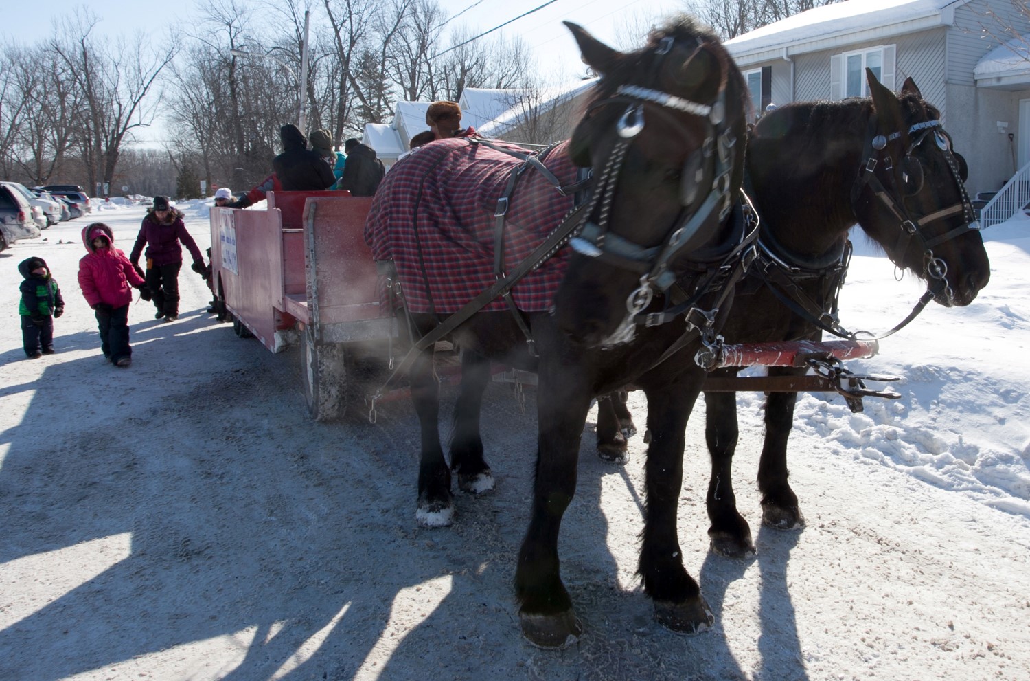 Le Carnaval d'hiver réchauffe le cœur des citoyens de Rosemère