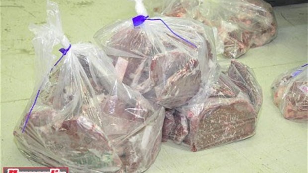 Des chasseurs de Mirabel coupables d'actes de braconnage 