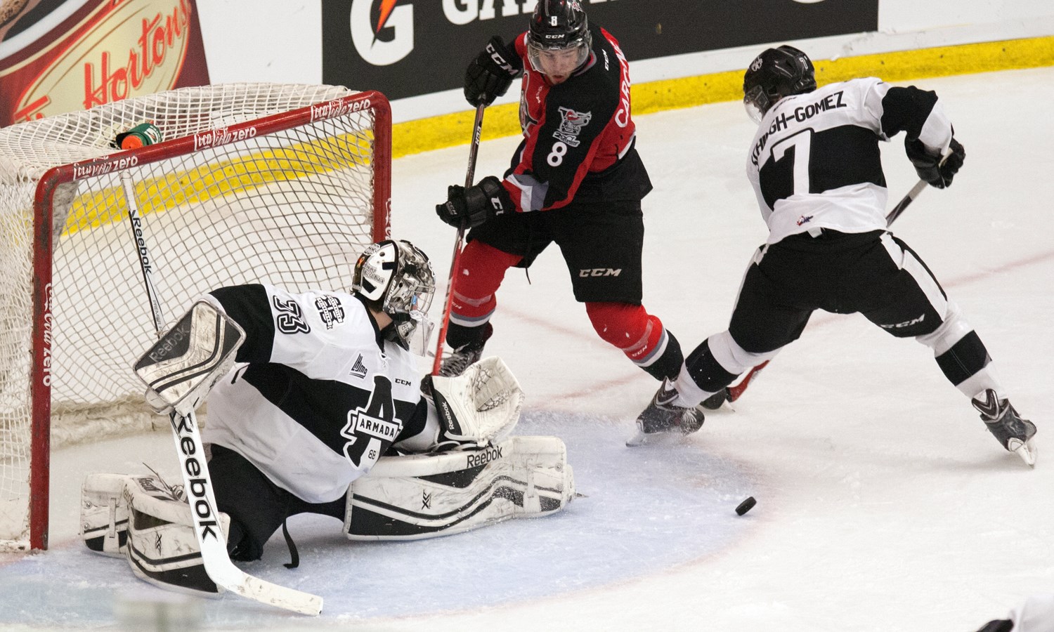 Les Voltigeurs surprennent l'Armada
