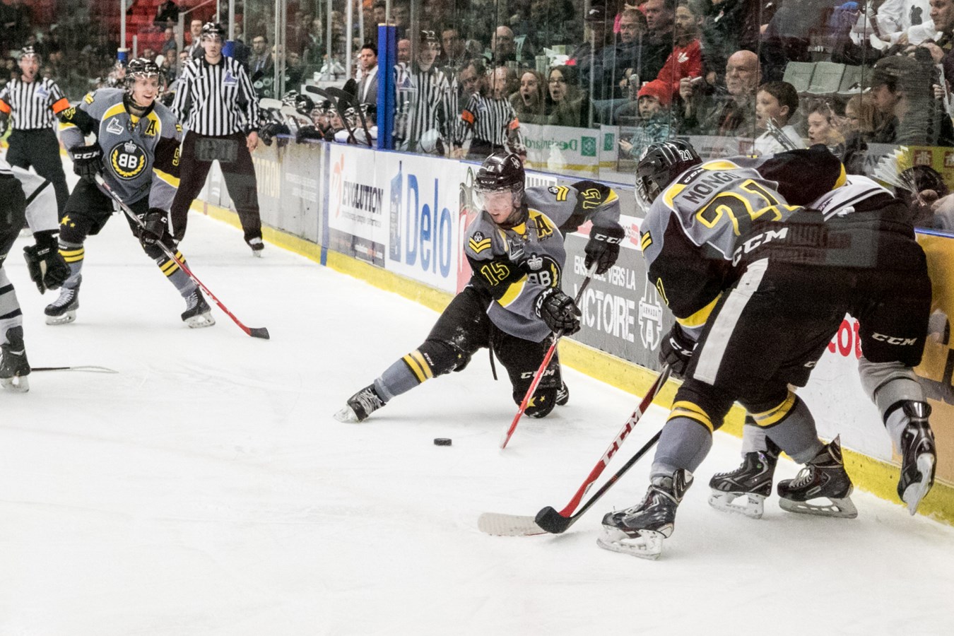 Le plus acharné de la LHJMQ est à Boisbriand