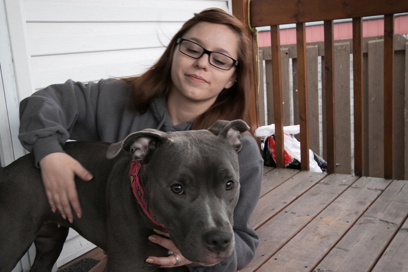 Elle se bat pour garder ses deux pitbulls