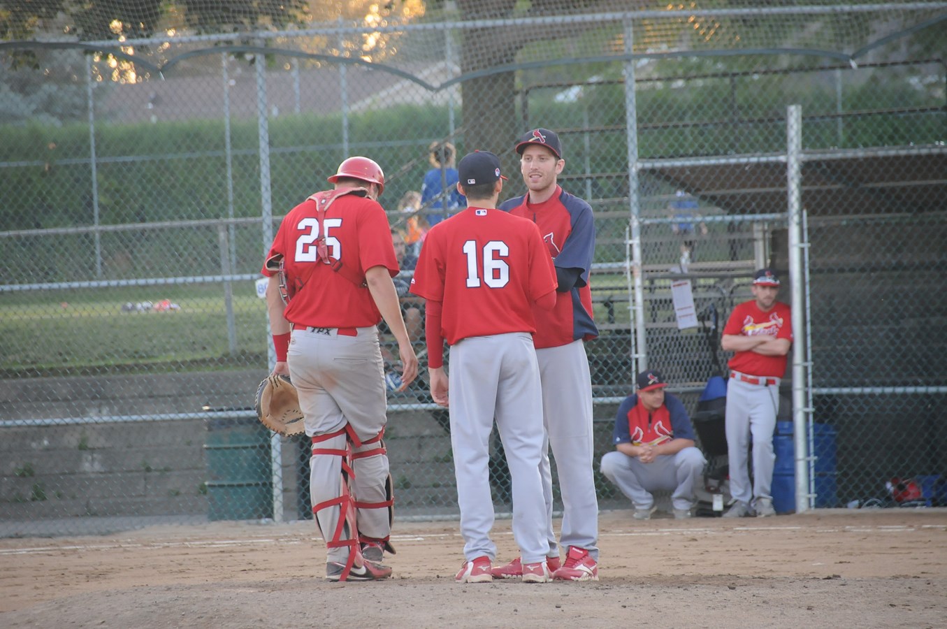 Une manche suffit aux Bisons