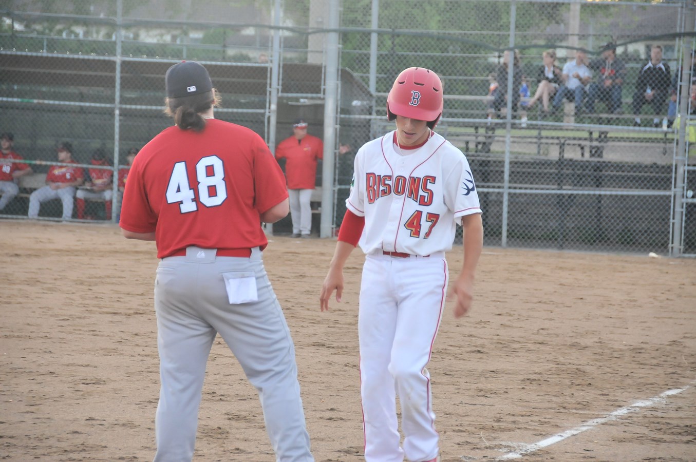 Une manche suffit aux Bisons