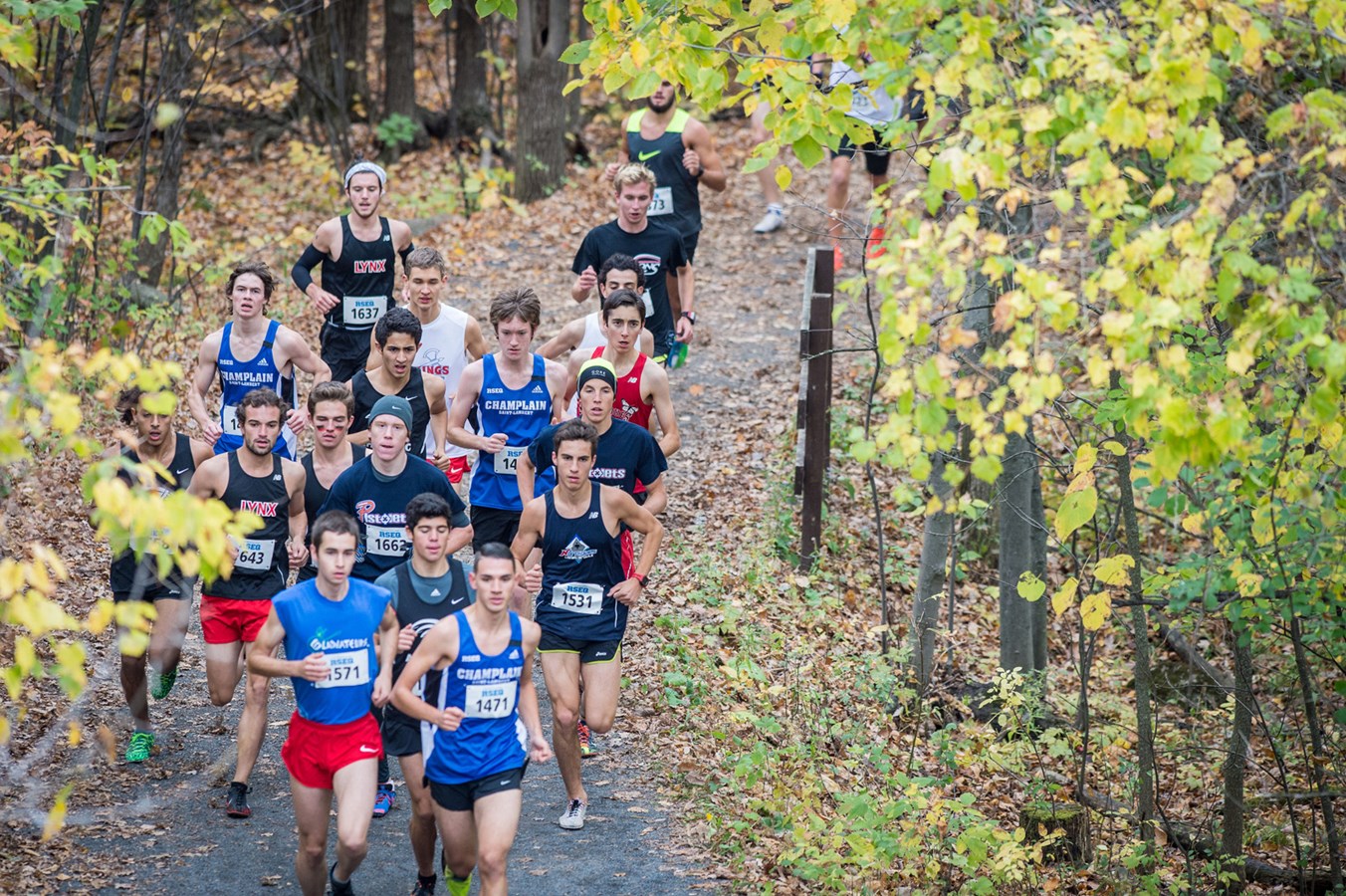 Le Collège Lionel-Groulx sera l’hôte du championnat canadien de cross-country collégial en 2017!