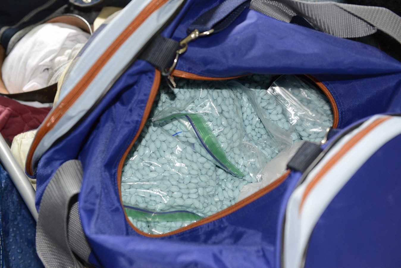 Démantèlement d'un important réseau de drogue: Arrestation de 16 personnes