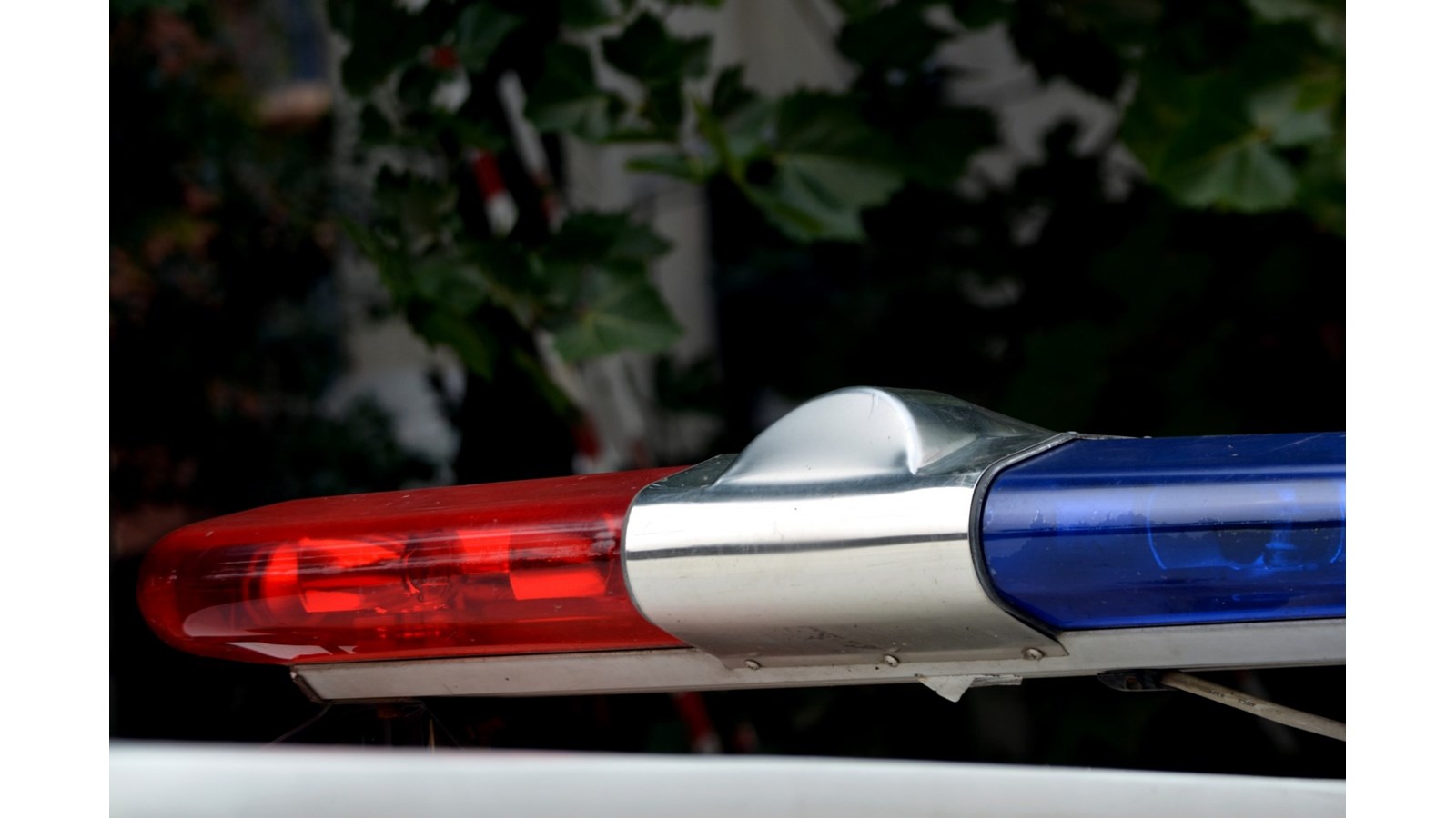 Arrestation pour possession de cannabis illicite pour la vente 