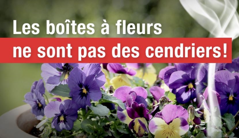 La Ville de Mirabel rappelle l’importance de bien disposer de leurs mégots de cigarettes