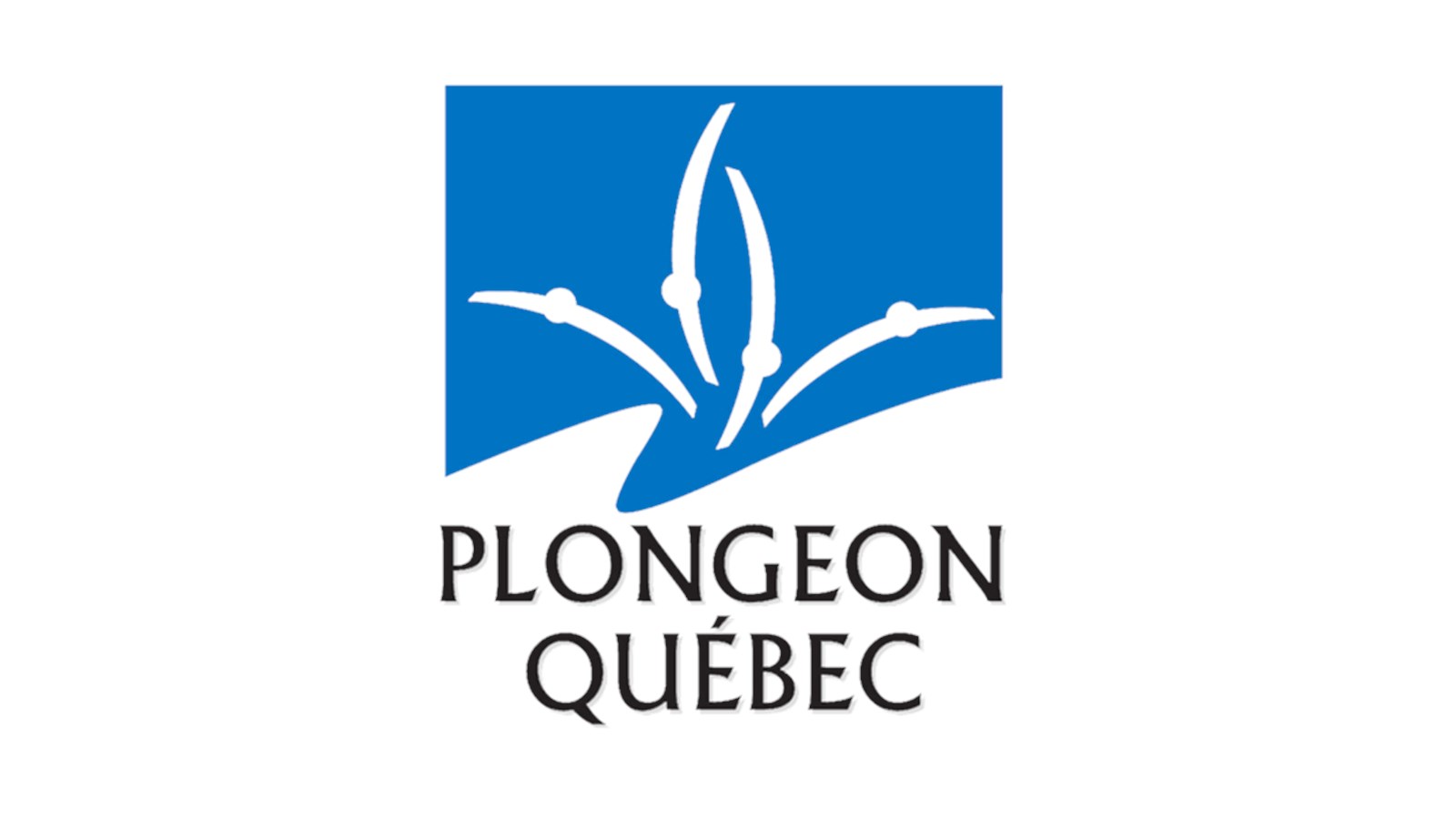 Club de plongeon l’Envol hôte officiel du dernier championnat provincial Espoir de la saison 2017-2018.