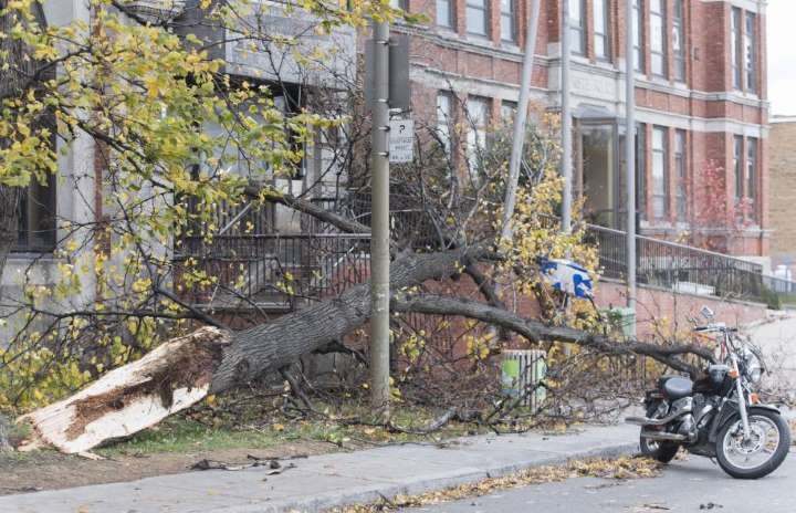 Plus de routes fermées en lien avec la tempête