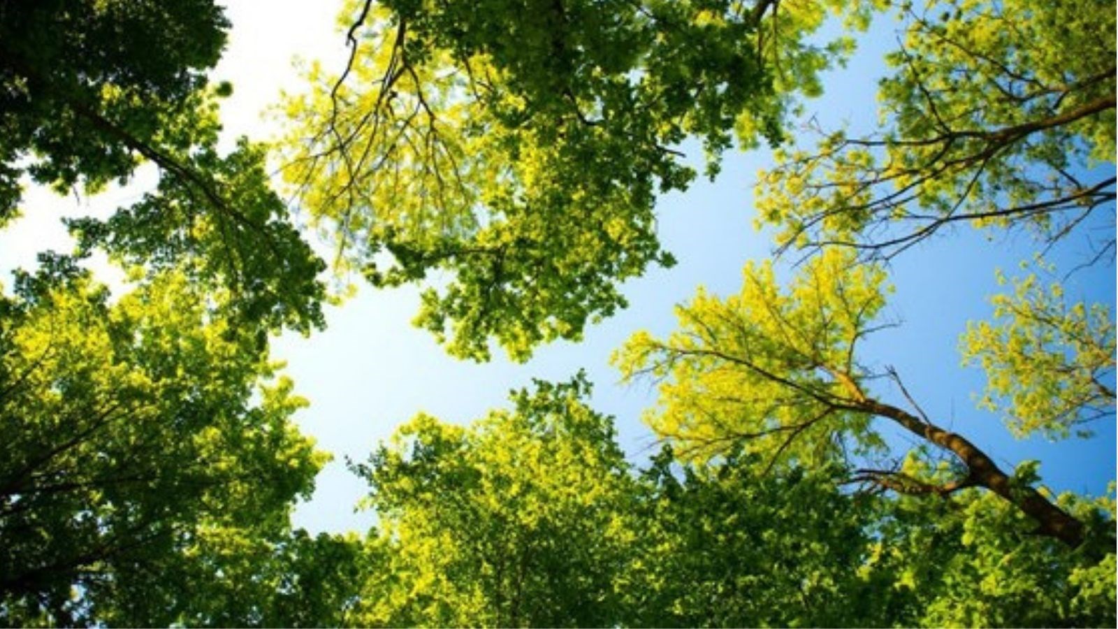 Ouverture de la saison estivale au Parc régional du bois de Belle-Rivière
