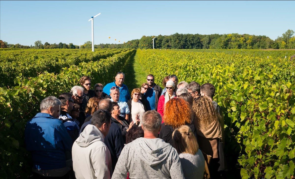 Le Vignoble Rivière du Chêne dévoile sa programmation savoureuse et riche en activités
