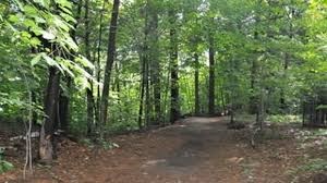 La Forêt du Grand Coteau.