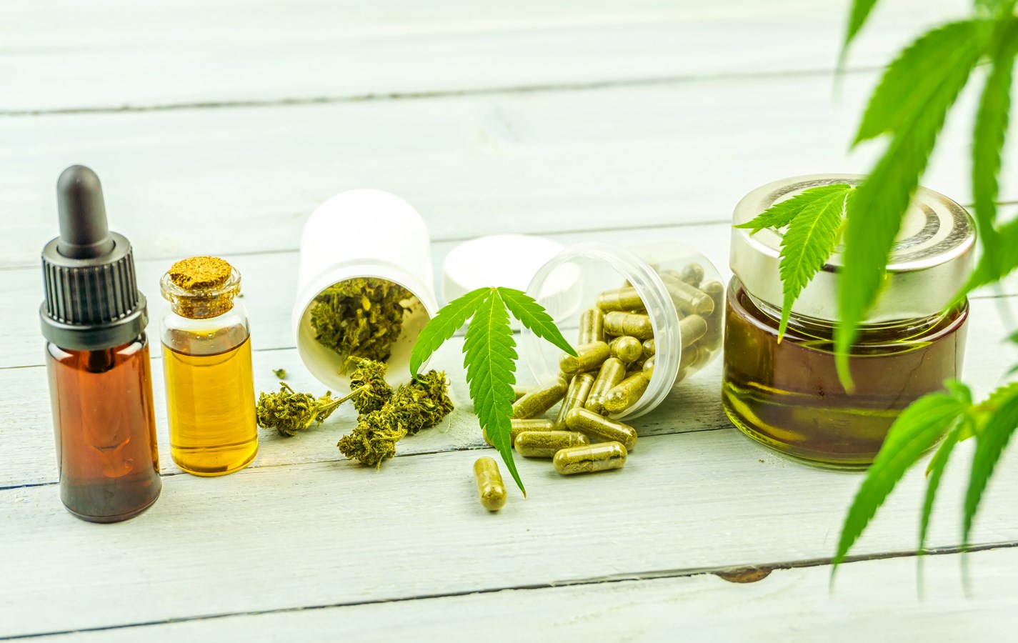 Production et transformation du cannabis: Le Cégep Gérald-Godin propose une série d'ateliers